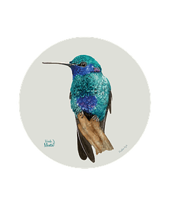 Set 6 Ind Picaflor Azul 37cm