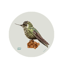 Set 6 Ind Picaflor Chico 37cm