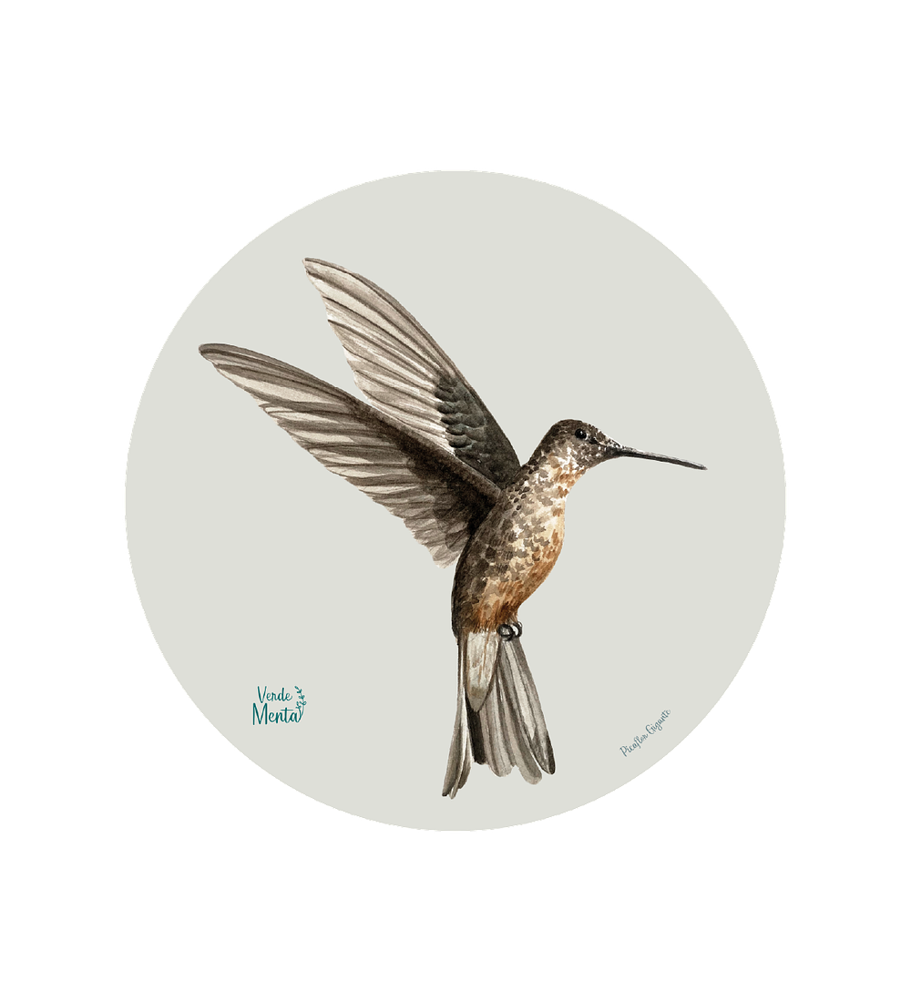 Set 6 Ind Picaflor Gigante 37cm