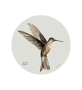 Set 6 Ind Picaflor Gigante 37cm