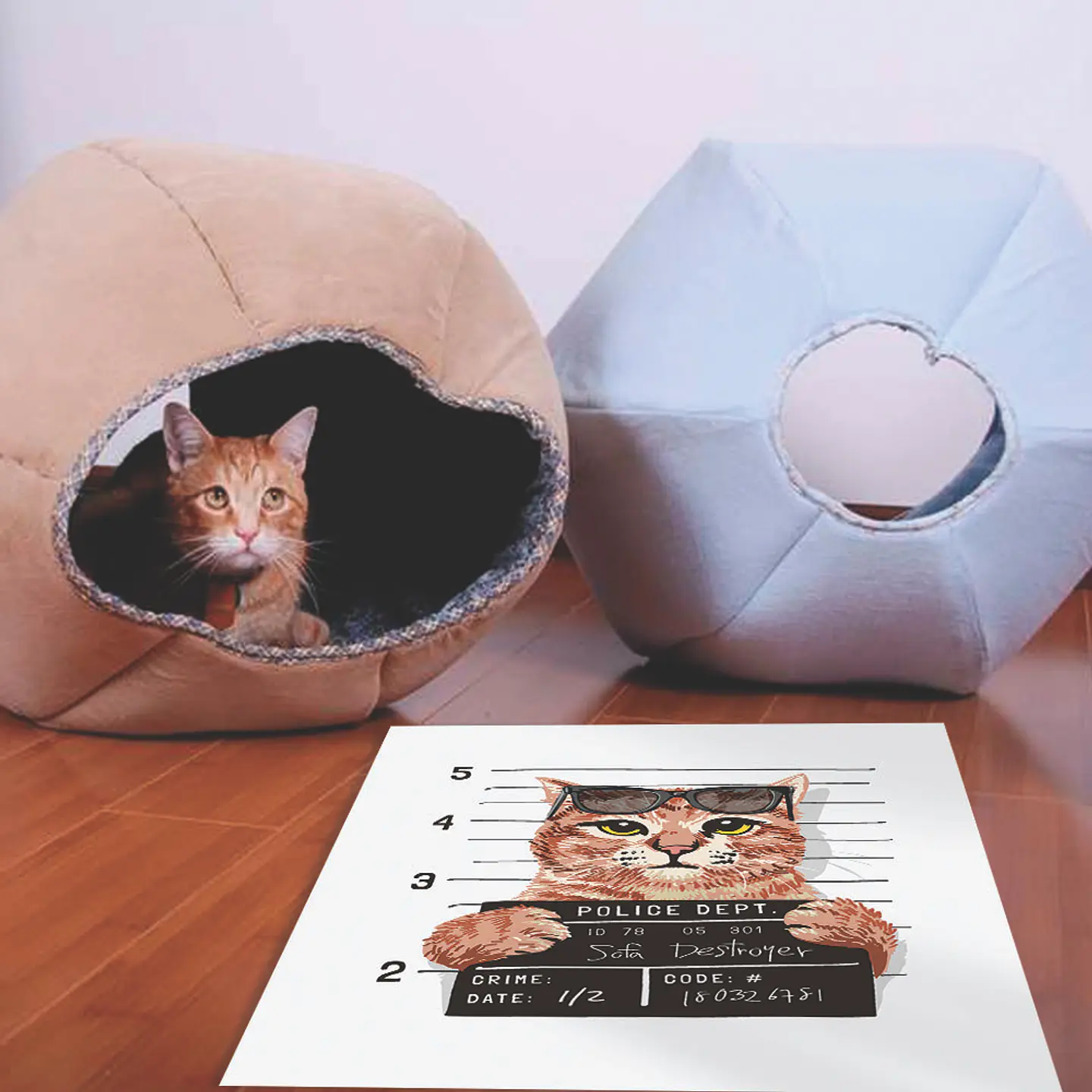 Bad Cool Cat - Outlet 2