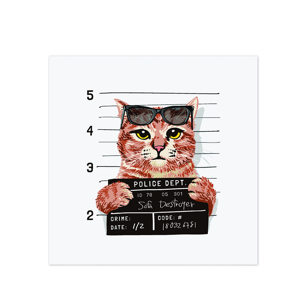Bad Cool Cat - Outlet