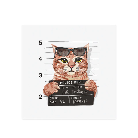 Bad Cool Cat - Outlet
