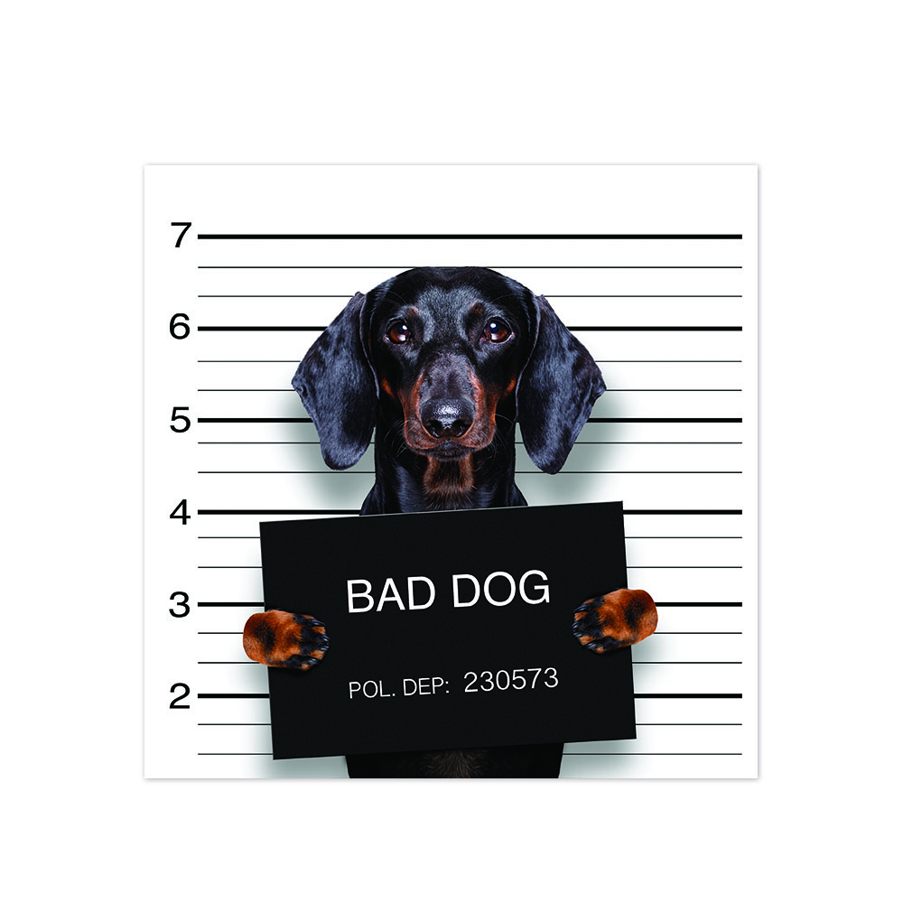 Bad Hot Dog - Outlet