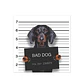 Bad Hot Dog - Outlet - Miniatura 1