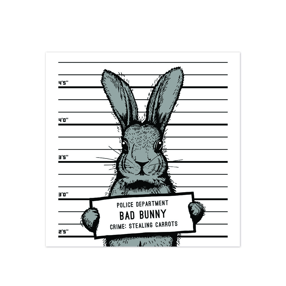 Bad Rabbit - Outlet