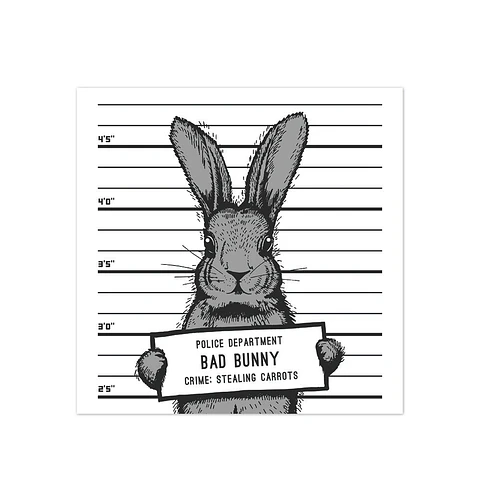 Bad Rabbit - Outlet