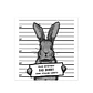 Bad Rabbit - Outlet - Miniatura 1