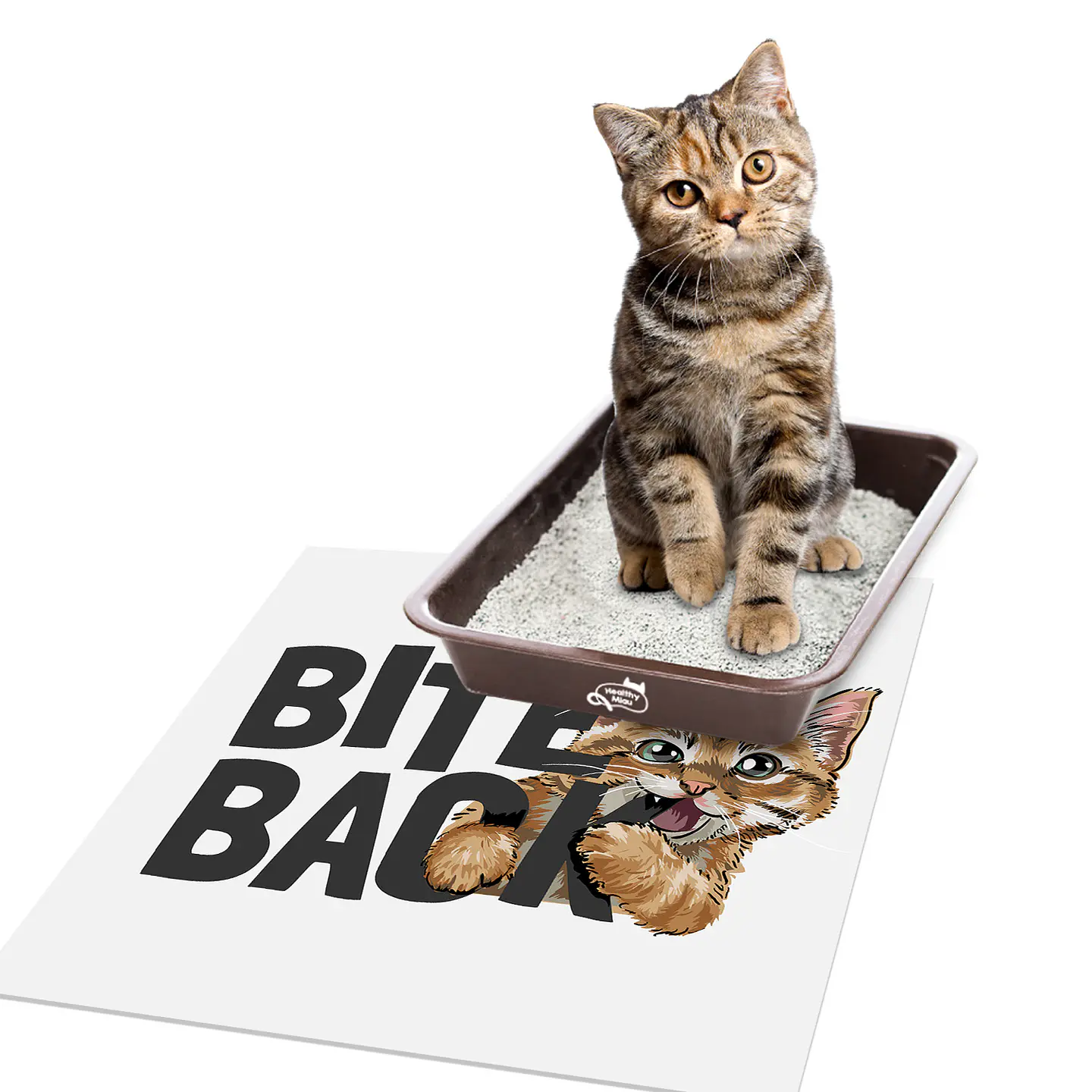 Bite Back - Outlet 3