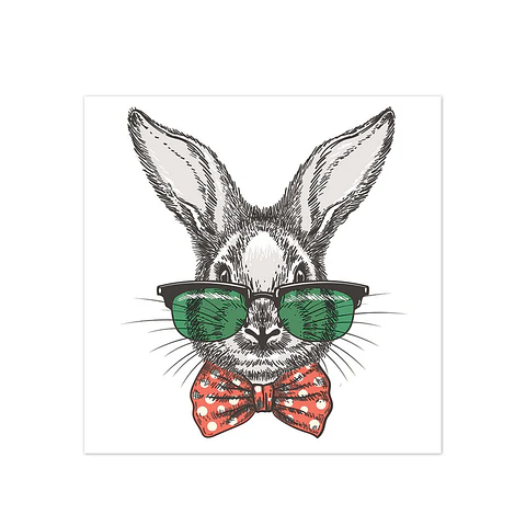 Rabbit Style - Outlet