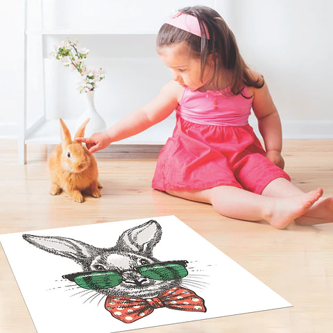 Rabbit Style - Outlet