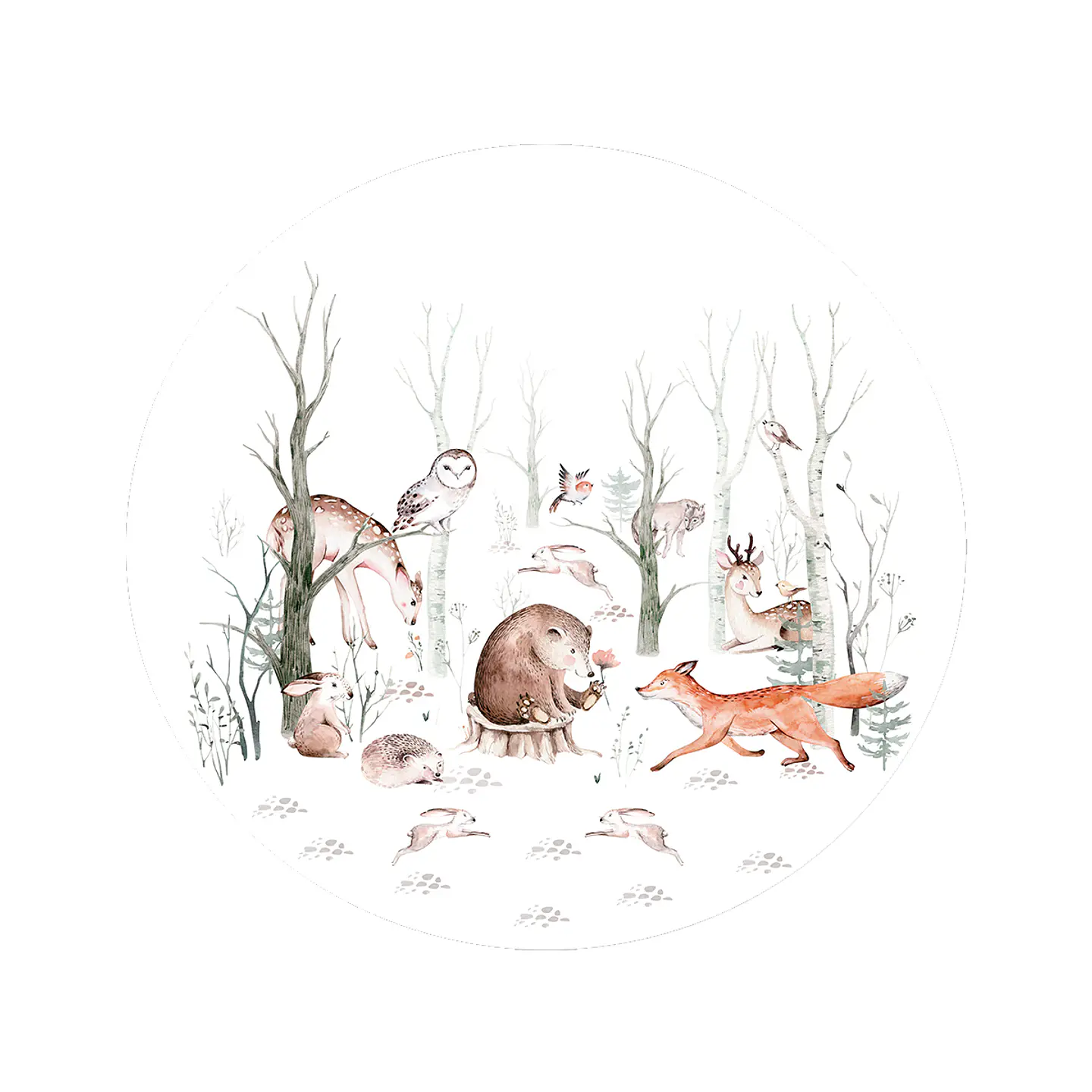 Set 6 indiv Animales del Bosque Juntos redondo 37 cm 1