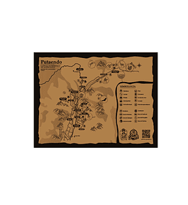 Set 12 Individuales Patio Jacinto Putaendo