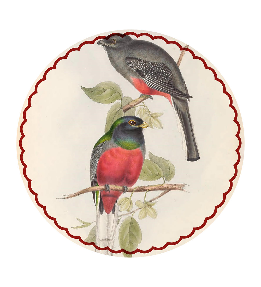 Set 6 Individuales Dúo Rosado del Bosque 