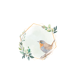 Pack 12 Individuales Chucao 37cm