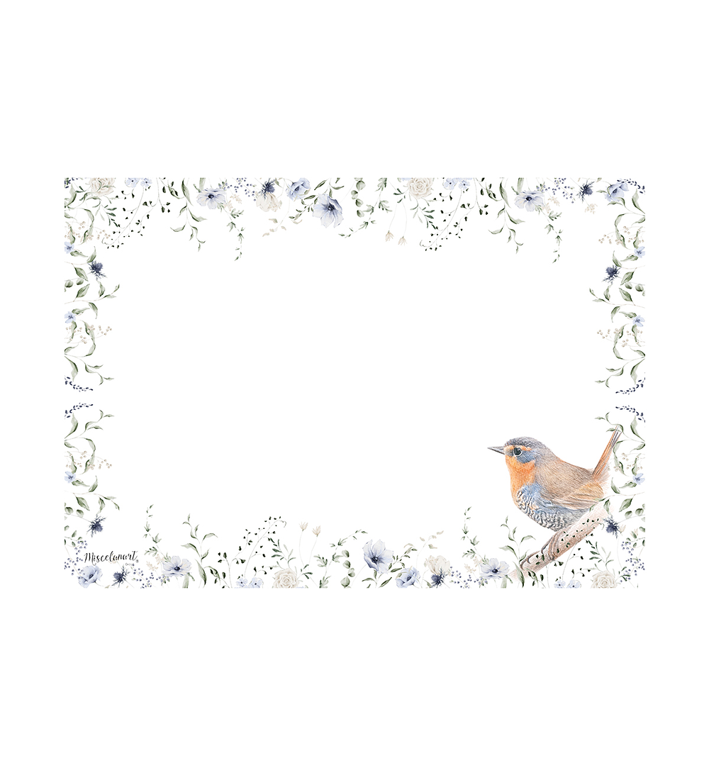 Pack 12 Individuales Chucao 42x32cm