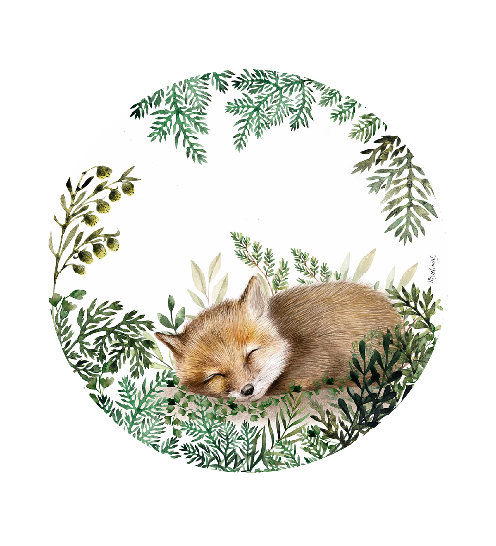 Pack 24 Posavasos Zorro 10cm Redondo