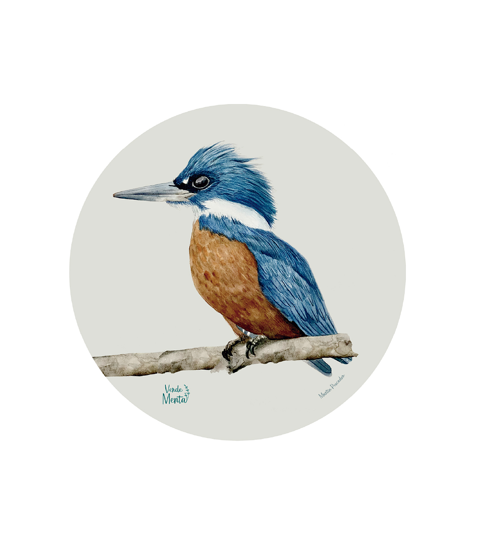 Set 6 Individual Redondo Martin Pescador Macho