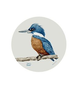 Set 6 Individual Redondo Martin Pescador Macho