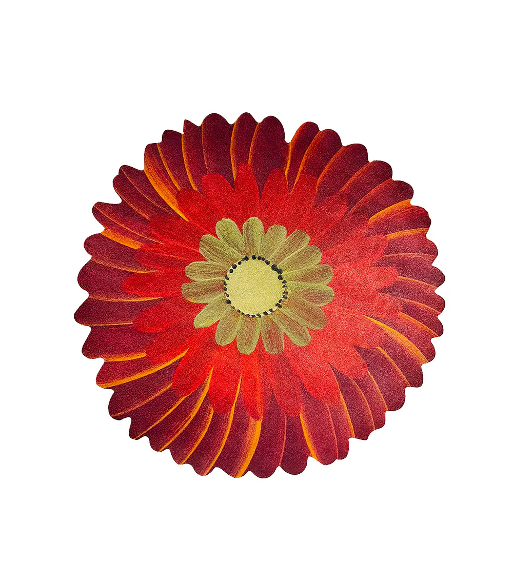 Set 6 Individuales Red Blossom Studio