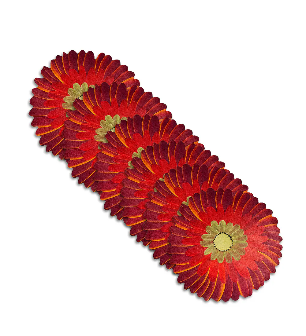 Set 6 Individuales Red Blossom Studio