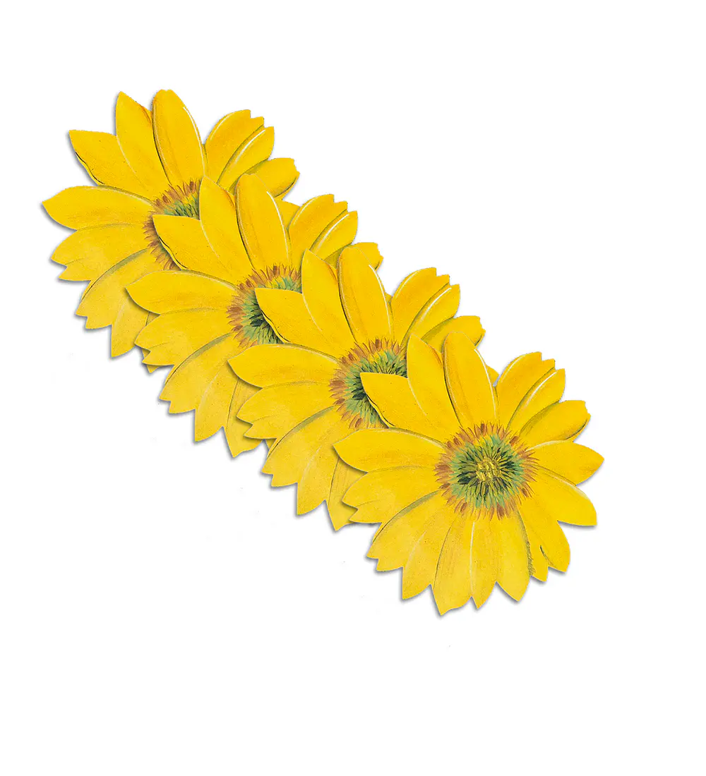 Set 4 Individuales Girasol Sunlight Bloom