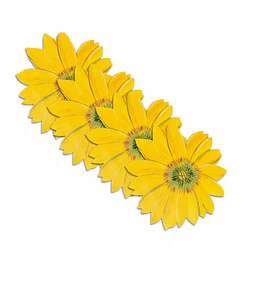 Set 4 Individuales Girasol Sunlight Bloom