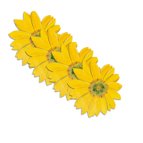 Set 4 Individuales Girasol Sunlight Bloom - Ediciones de Mesa