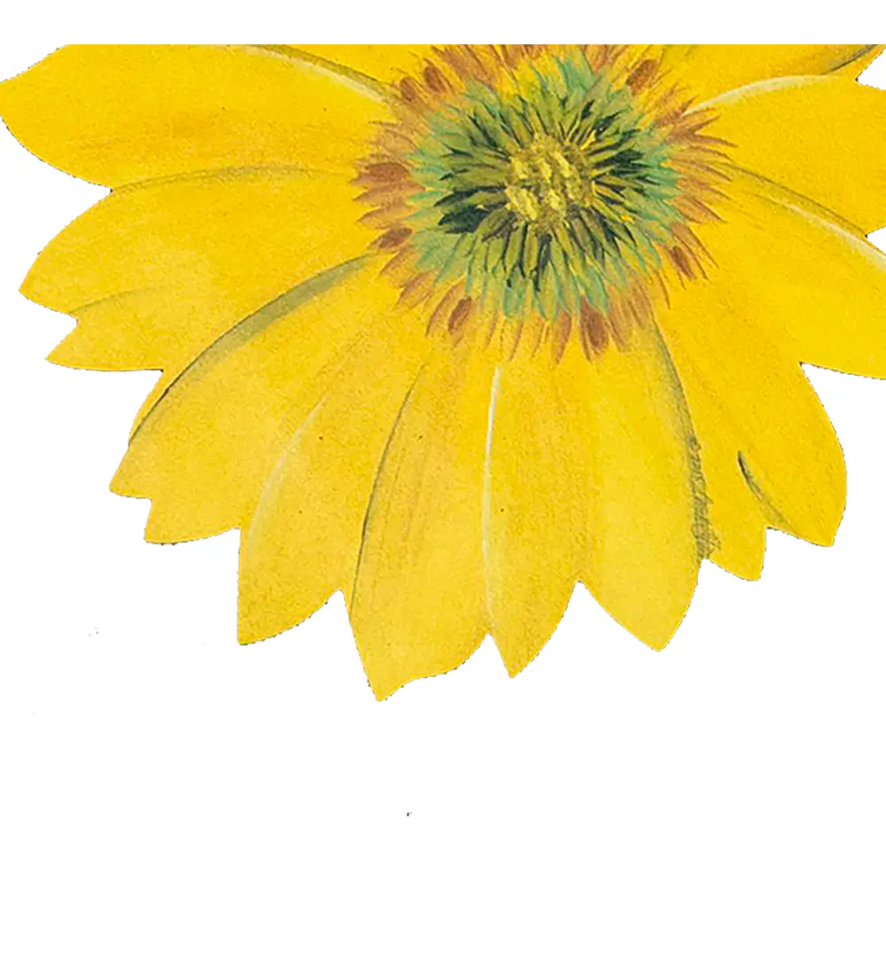 Set 6 Individuales Girasol Sunlight Bloom 