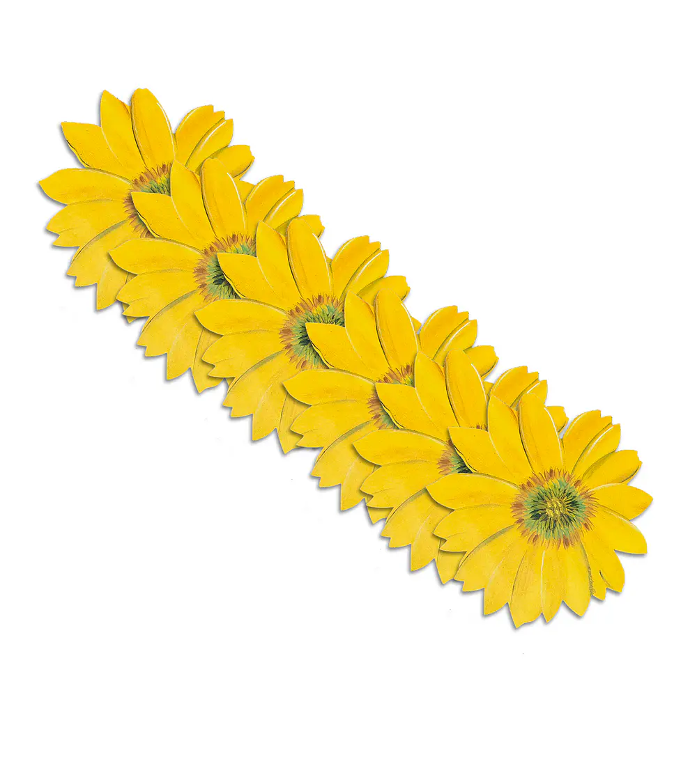 Set 6 Individuales Girasol Sunlight Bloom 