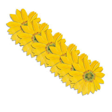 Set 6 Individuales Girasol Sunlight Bloom - Ediciones de Mesa