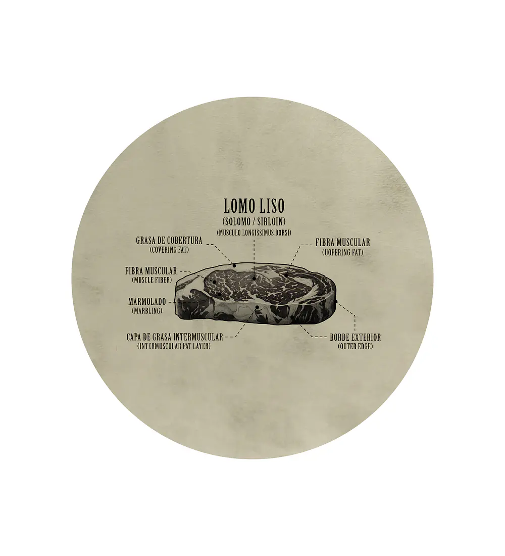 Set 6 Individuales Mapa de Cortes Lomo Liso Redondo Beige 