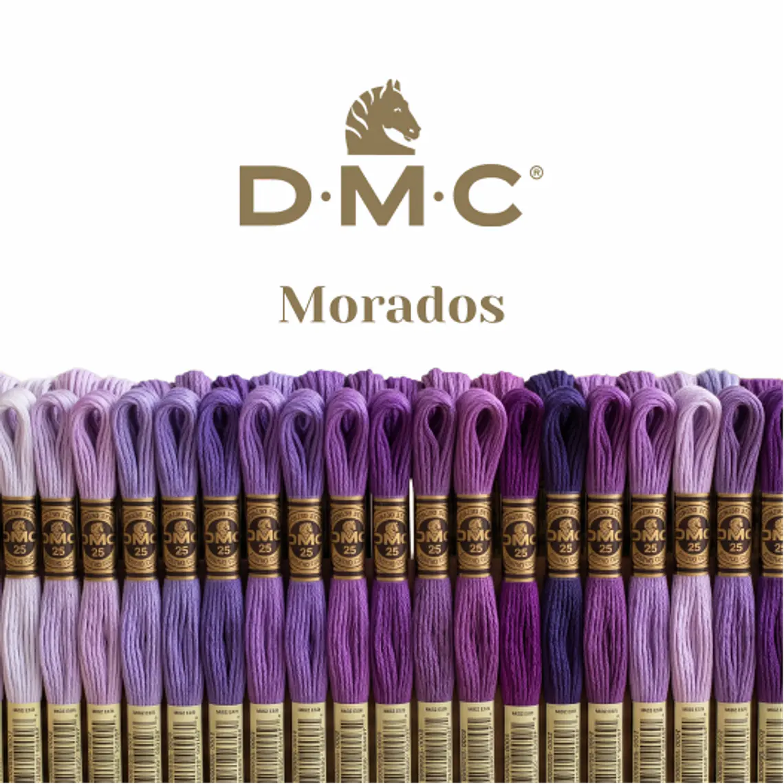 Hilo DMC Mouliné Spécial 25 - Tonos Morados 1