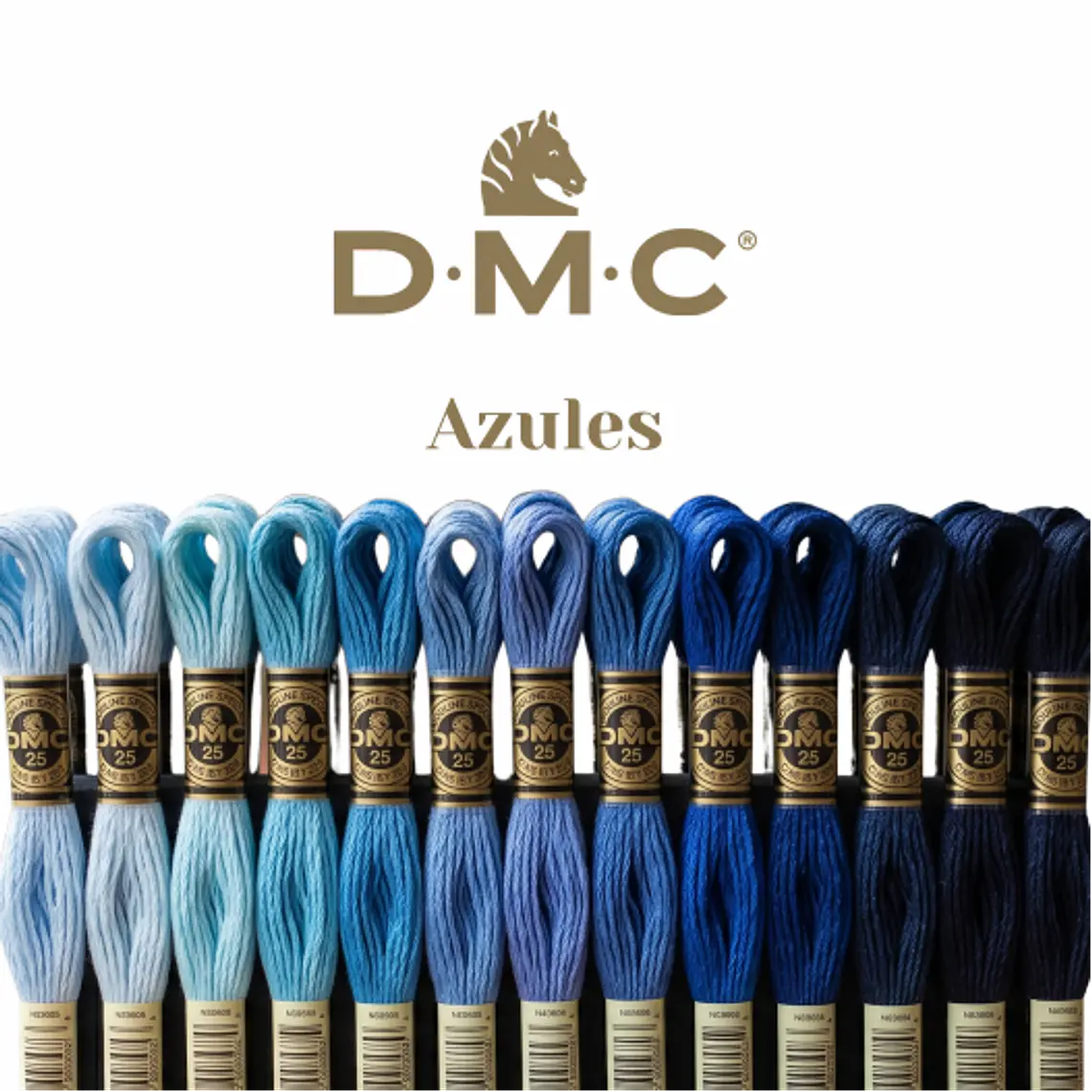 Hilo DMC Mouliné Spécial 25 - Tonos Azules 1