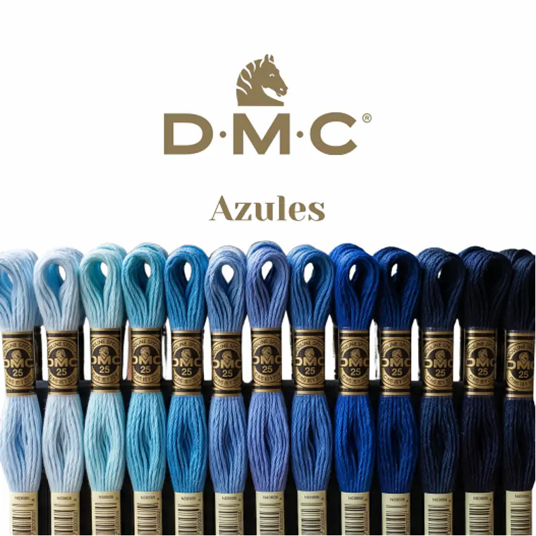 Hilo DMC Mouliné Spécial 25 - Tonos Azules 1