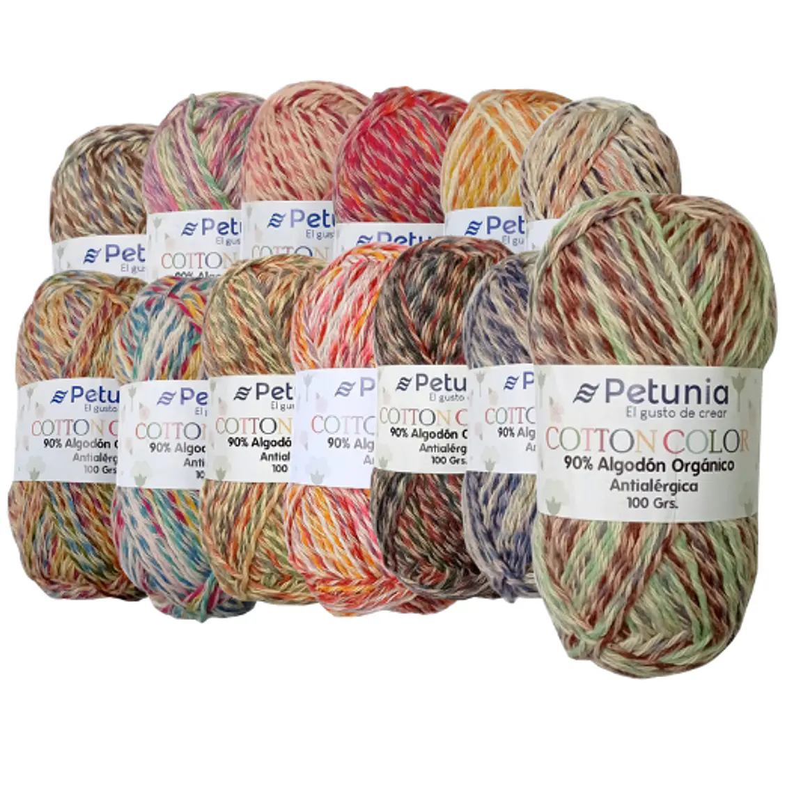 Cotton Color de Petunia  1