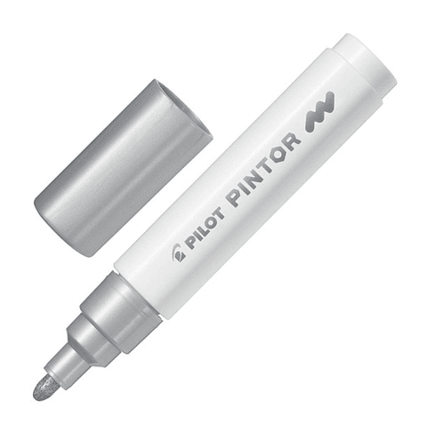 Marcadores M Pintor Pilot