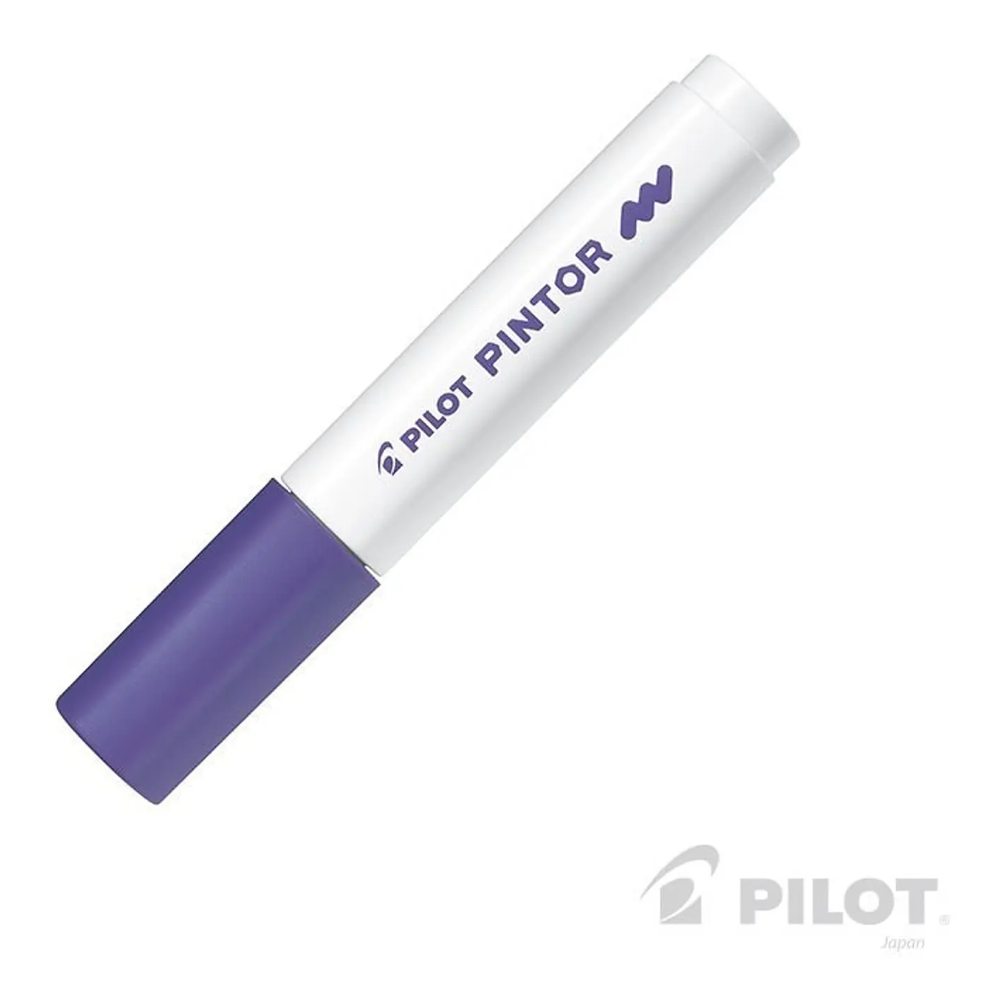 Marcadores M Pintor Pilot 6