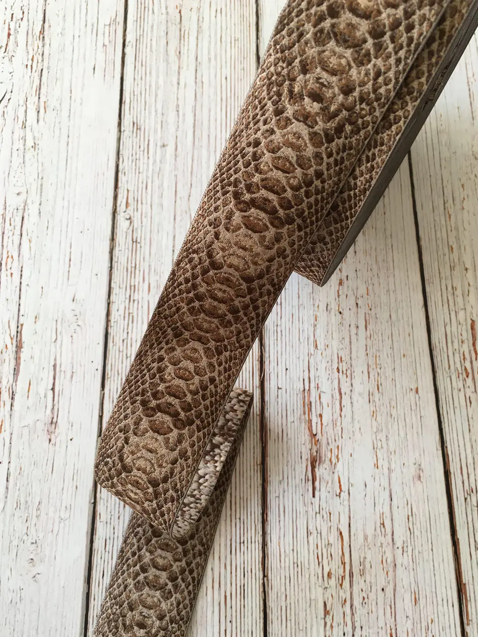 Cinta animal print Serpiente beige 1