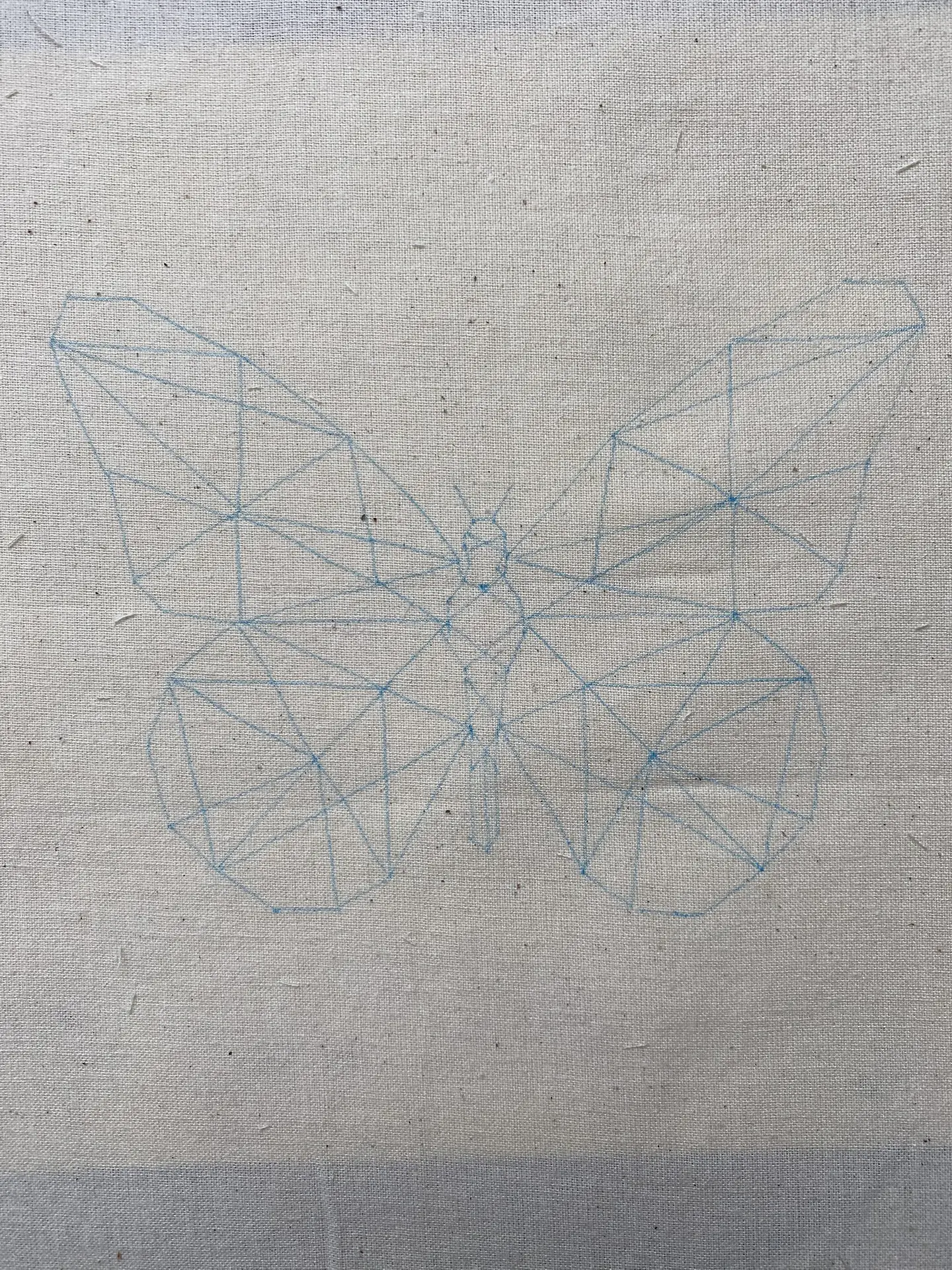 Dibujo en tela Mariposa Geométrica 1