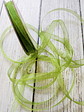 Cinta Organza 7mm 27mts - Miniatura 3