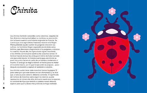 El libro de la suerte