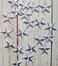 Parche Estrella Plateada  - Miniatura 1