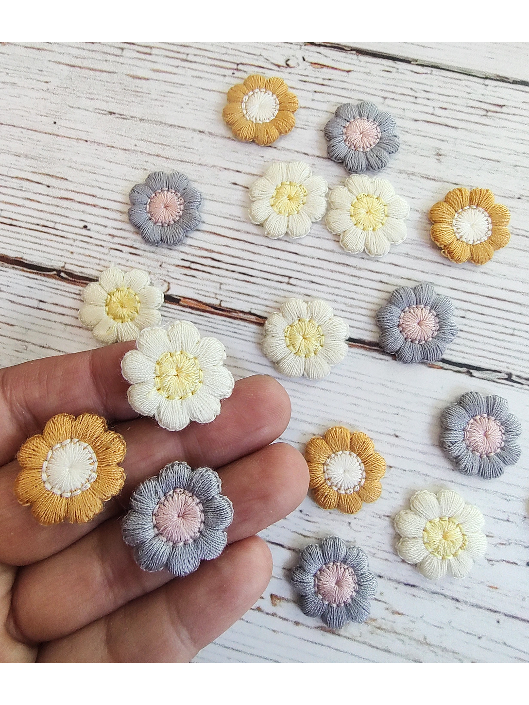 Aplicación Flor Silvestre 1