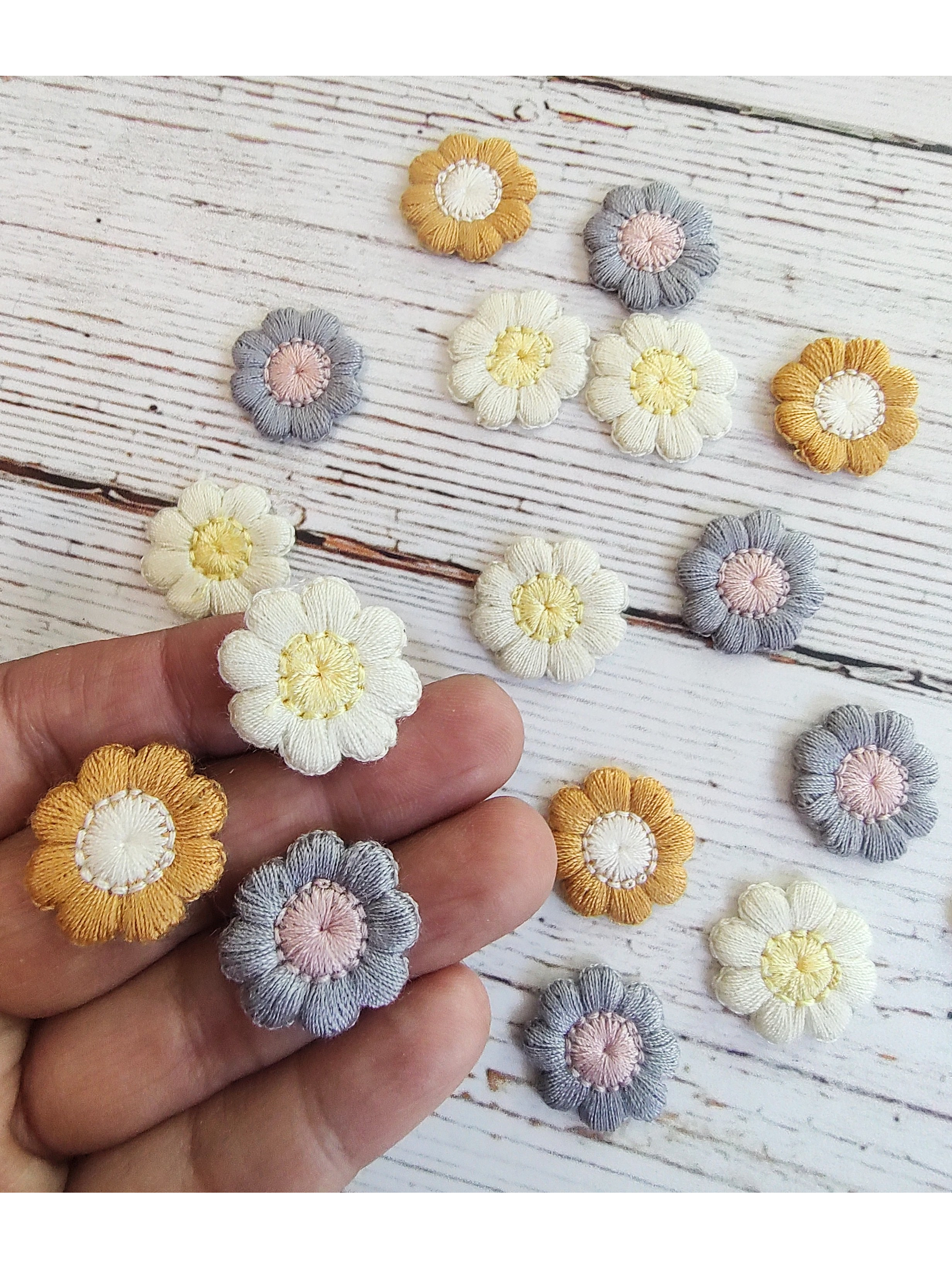 Aplicación Flor Silvestre 1