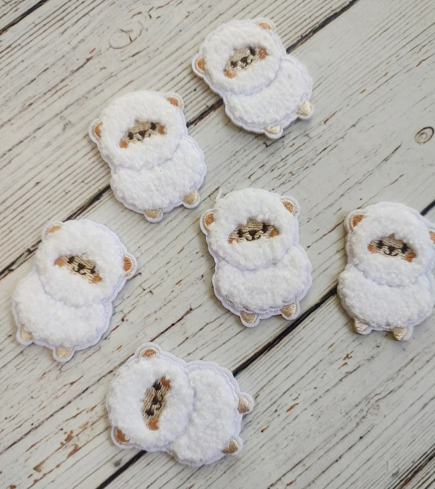 Parche Oveja lanuda 1