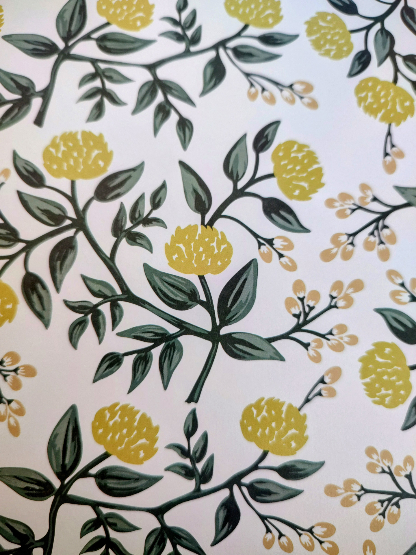 Cartulina para manualidades 24 hojas 3