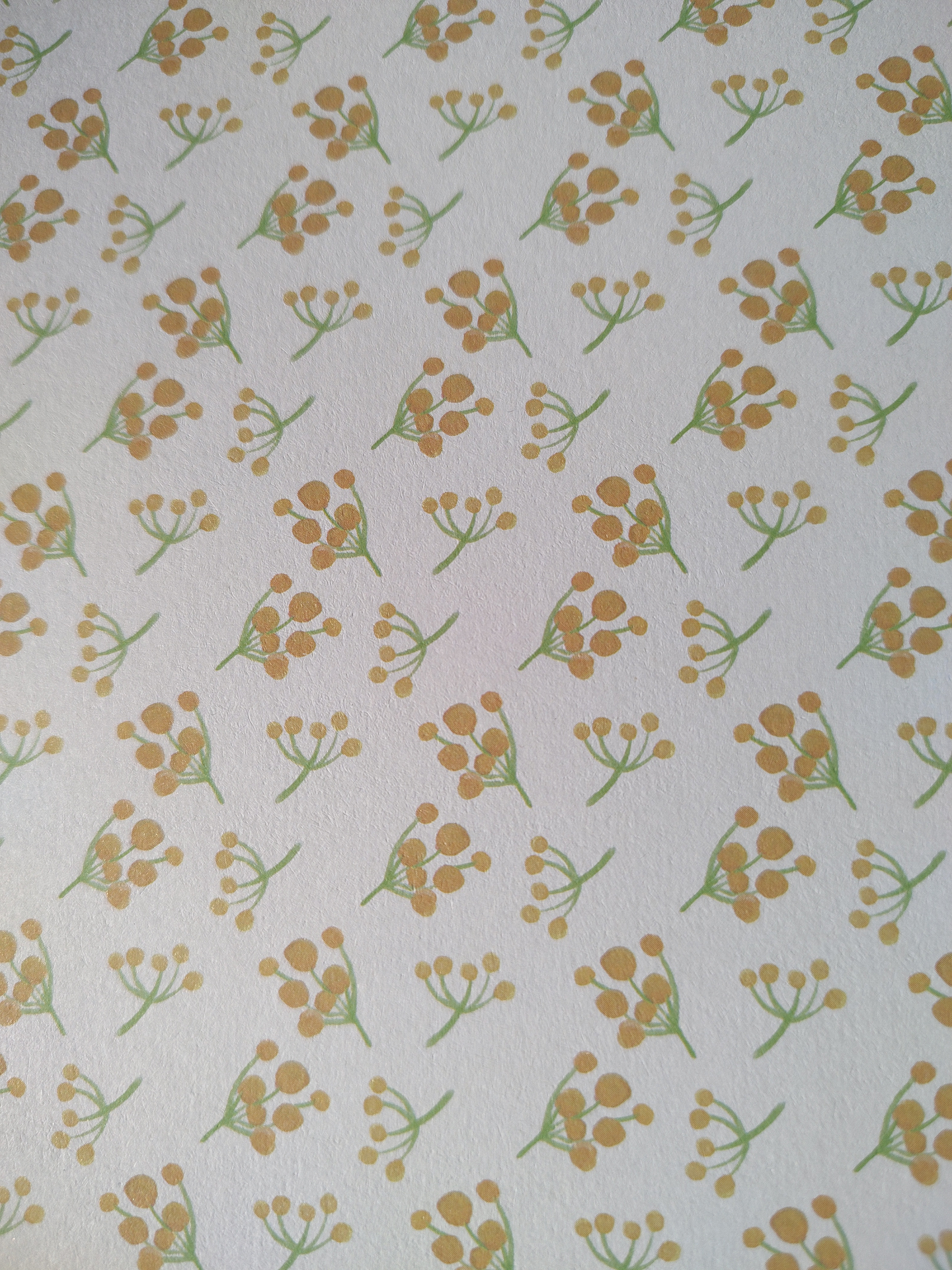 Cartulina para manualidades 24 hojas 9