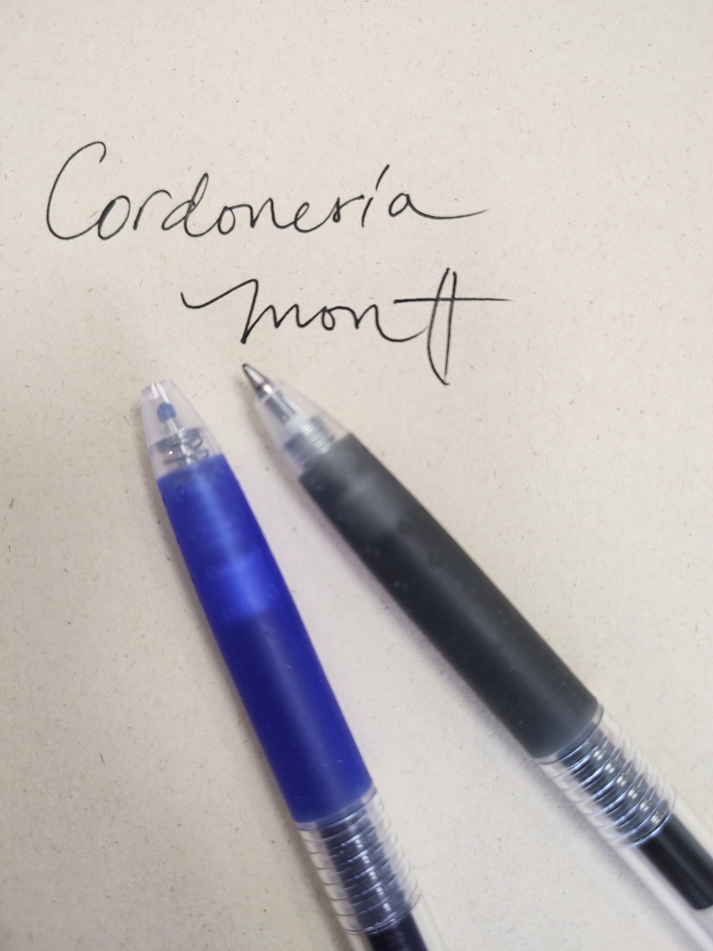 Lápiz Gel Pilot 0.7mm 2