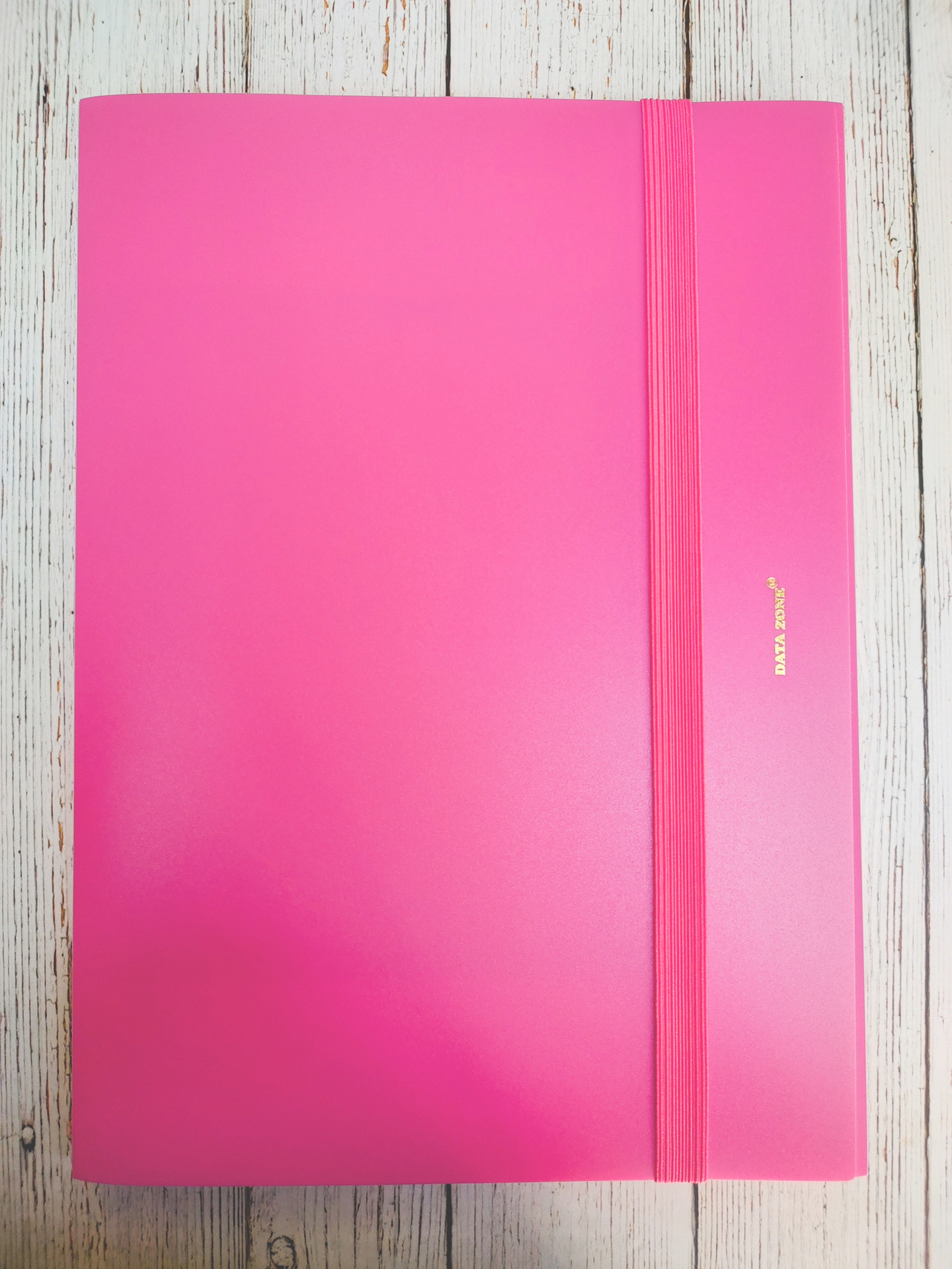 Carpeta plástica A4 DataZone 4